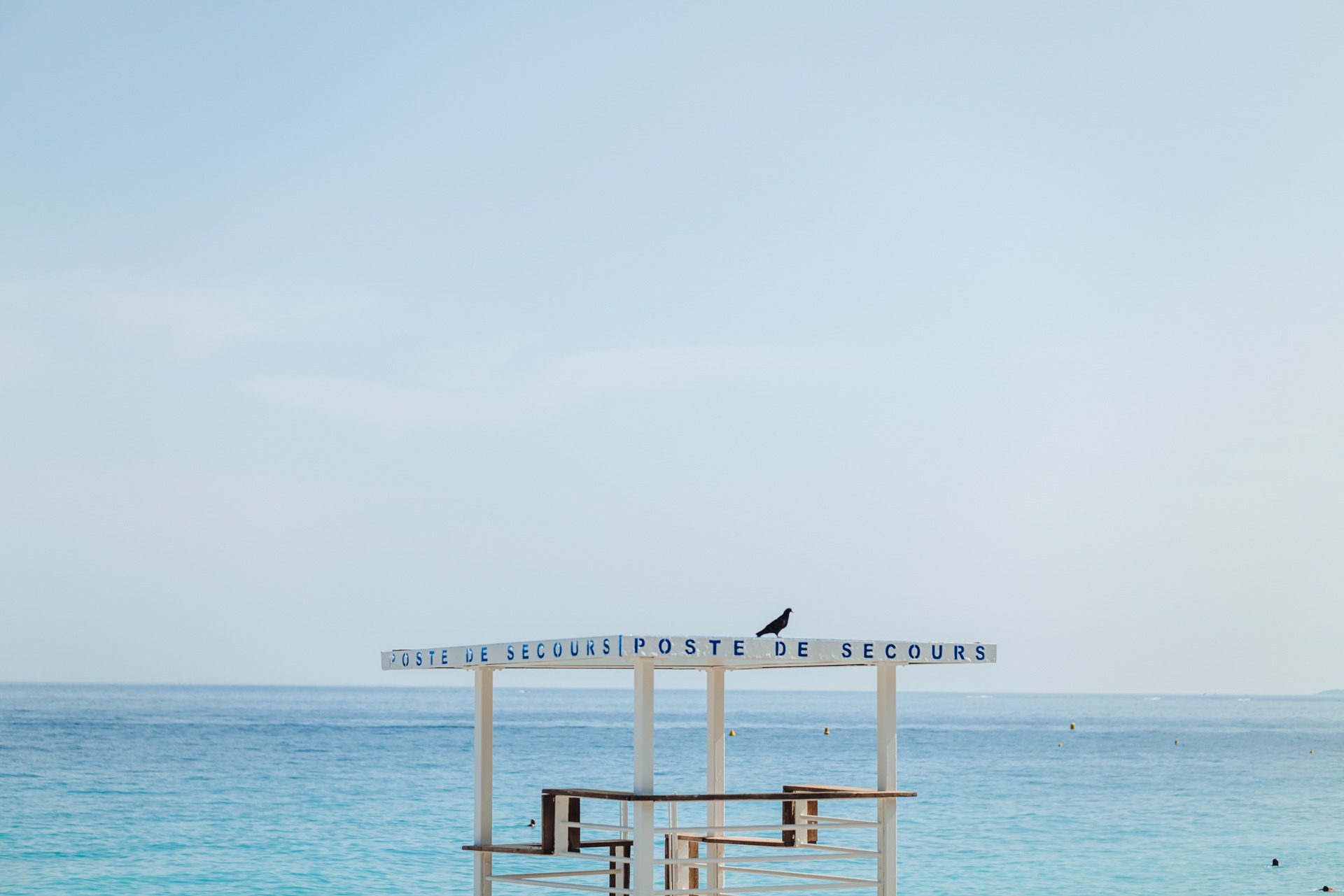 Nice, France-June 2022: A pigeon on the life guard structure on