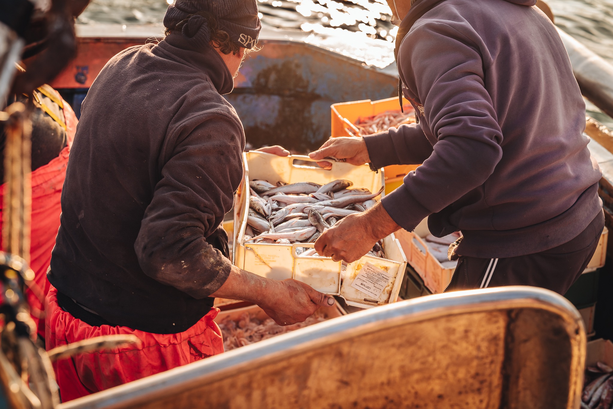 Mola di Bari, Italy – January 2023: local life scene by the fish
